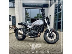 BENELLI LEONCINO 500