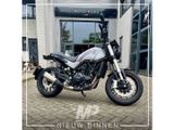 BENELLI LEONCINO 500