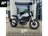 BENELLI LEONCINO 500