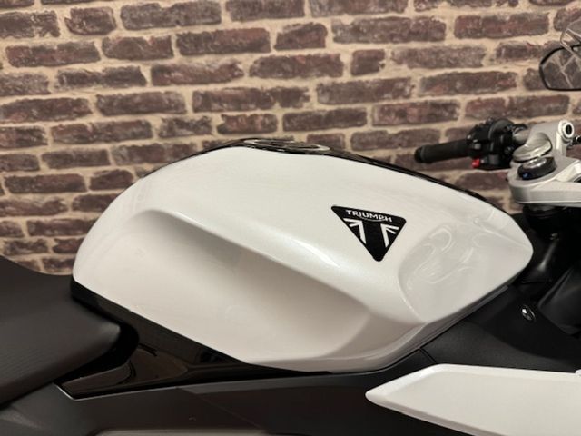 triumph - daytona-660