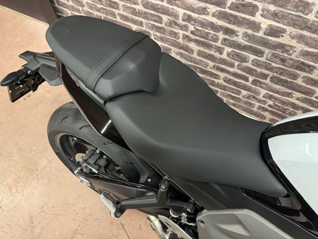 triumph - daytona-660