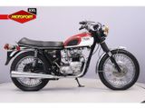 TRIUMPH DAYTONA T 100 R