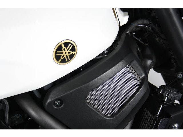 yamaha - xsr-700-xtribute