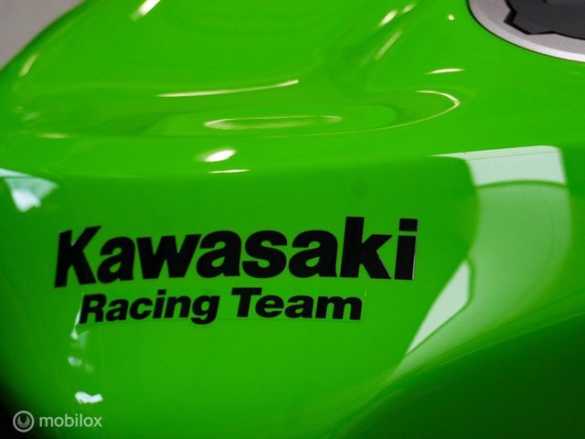 kawasaki - ninja-zx-6r-performance