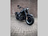 HARLEY-DAVIDSON FAT BOY S FLSTFBS