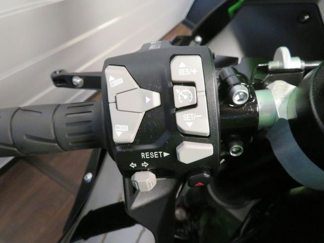 kawasaki - zx-10r-krt-edition