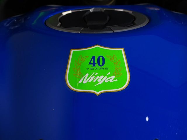 kawasaki - ninja-zx-4rr