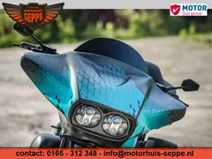 Harley-Davidson Thommy & Sons Ultra Special. 2019 occasion – foto 8 van 24