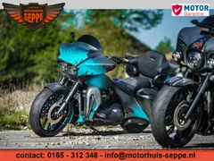 Harley-Davidson Thommy & Sons Ultra Special. 2019 occasion – foto 6 van 24