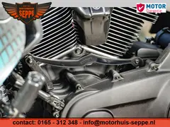 Harley-Davidson Thommy & Sons Ultra Special. 2019 occasion – foto 4 van 24