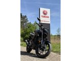 YAMAHA MT 03