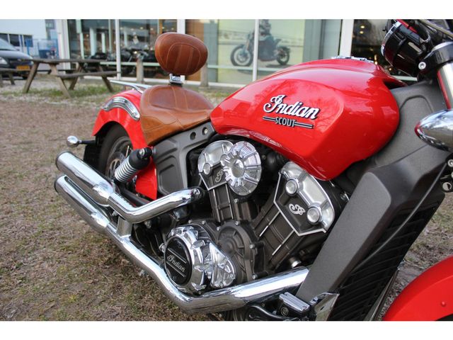 indian - scout