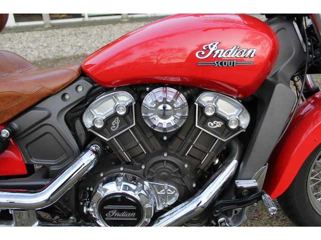 indian - scout