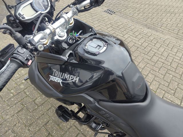 triumph - tiger-800-abs