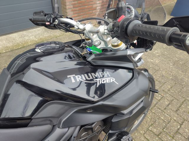 triumph - tiger-800-abs