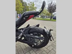 Benelli 502 C 2024 occasion – foto 8 van 15