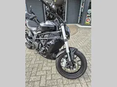 Benelli 502 C 2024 occasion – foto 2 van 15