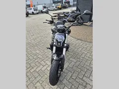 Benelli 502 C 2024 occasion – foto 14 van 15