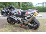 APRILIA RSV 1000 R