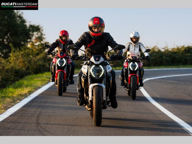 ducati - monster