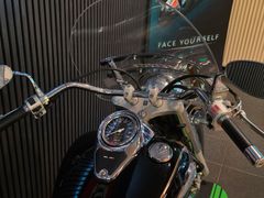 Suzuki VL800 2004 occasion – foto 7 van 9