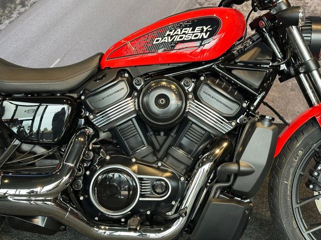 harley-davidson - nightster-rh-975