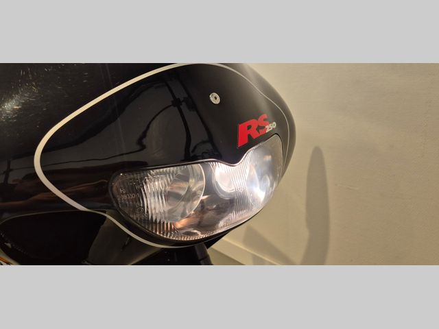 aprilia - rs-250