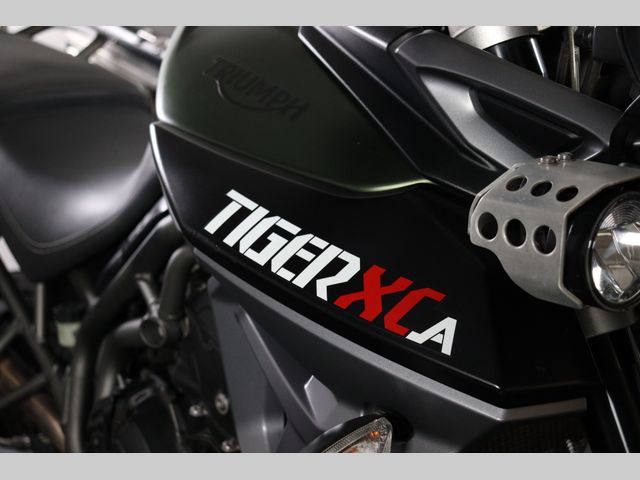 triumph - tiger-explorer-xca
