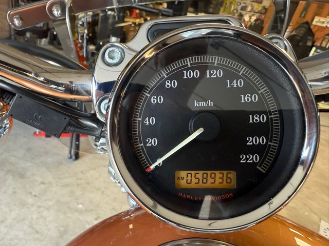 harley-davidson - sportster-1200-custom