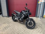 YAMAHA MT 09
