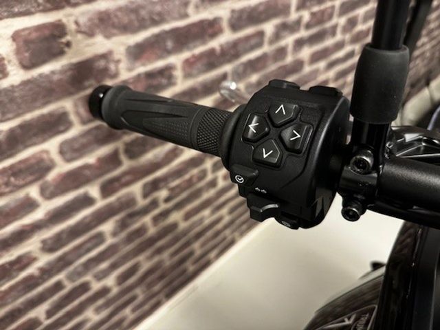 triumph - tiger-sport-800