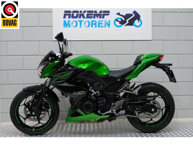 kawasaki - z-300