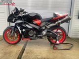 APRILIA TUONO