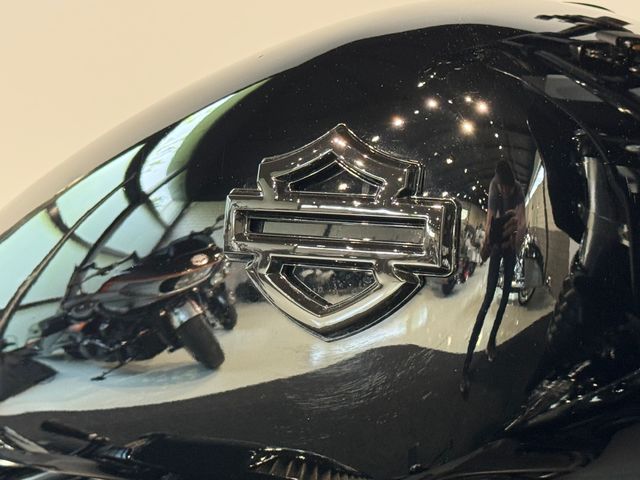 harley-davidson - street-bob-114-fxbbs