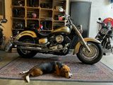 YAMAHA XVS 1100 A DRAGSTAR CLASSIC