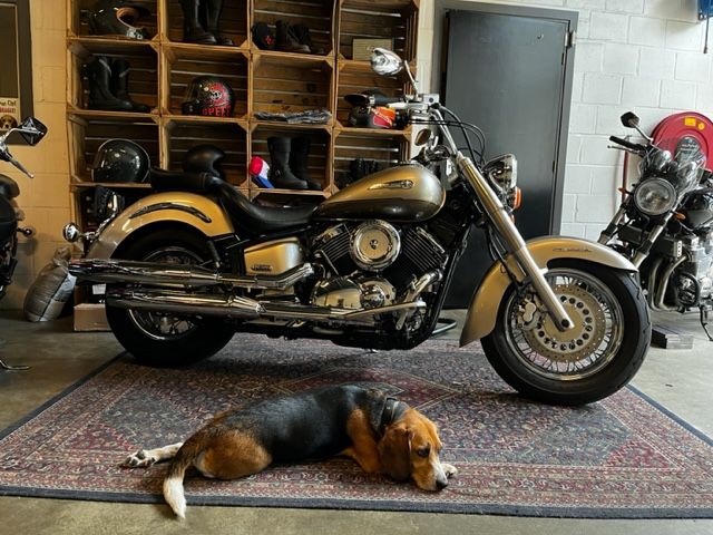 yamaha - xvs-1100-a-dragstar-classic