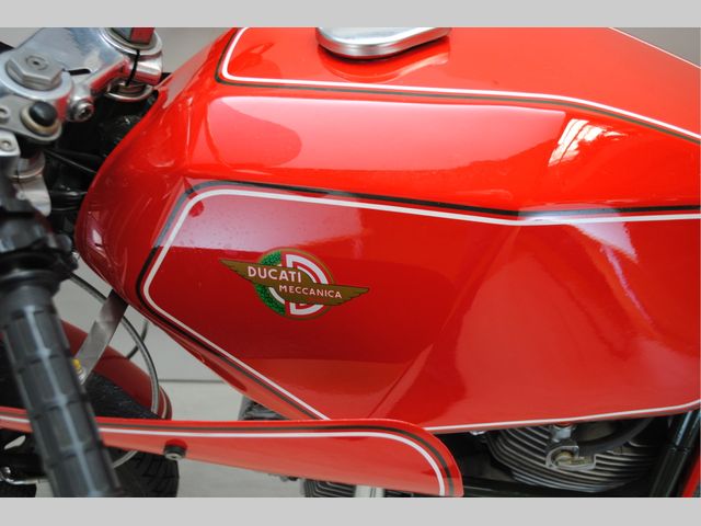 ducati - 600-sl-pantah