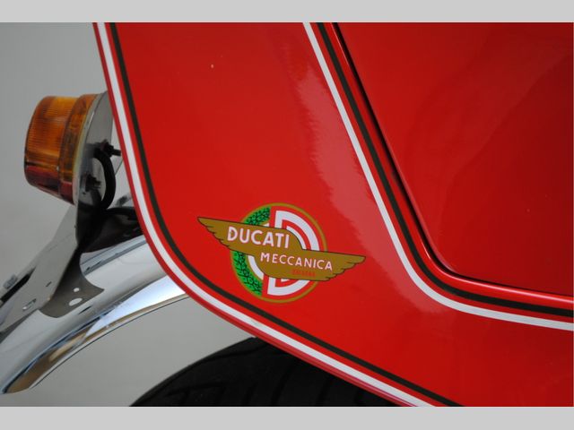ducati - 600-sl-pantah
