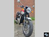 TRIUMPH BONNEVILLE  T 120