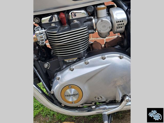 triumph - bonneville--t-120
