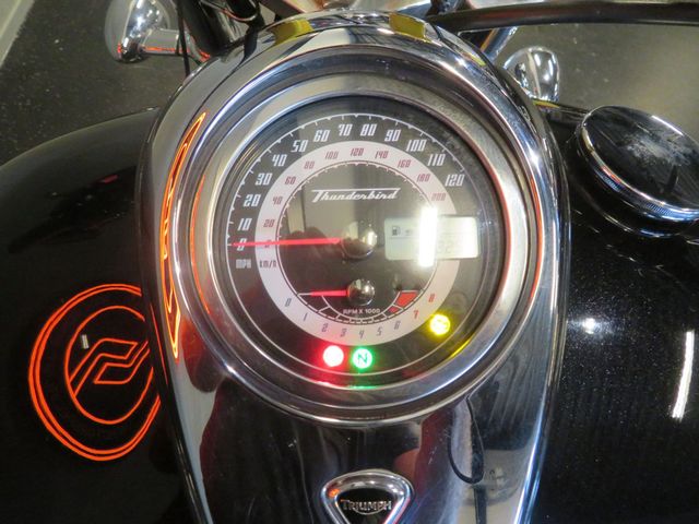 triumph - thunderbird