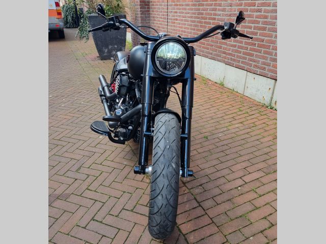 harley-davidson - softail-slim-s-flss