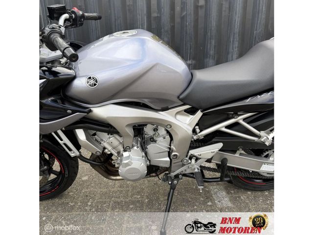 yamaha - fz-6-abs