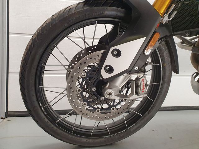 triumph - tiger-900-rally-pro