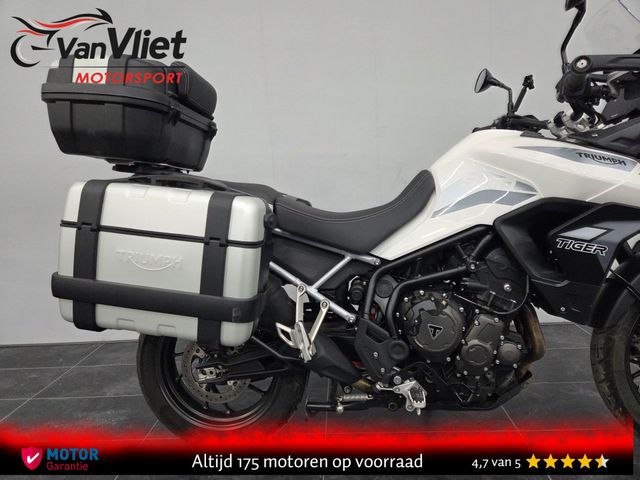 triumph - tiger-900-gt-pro