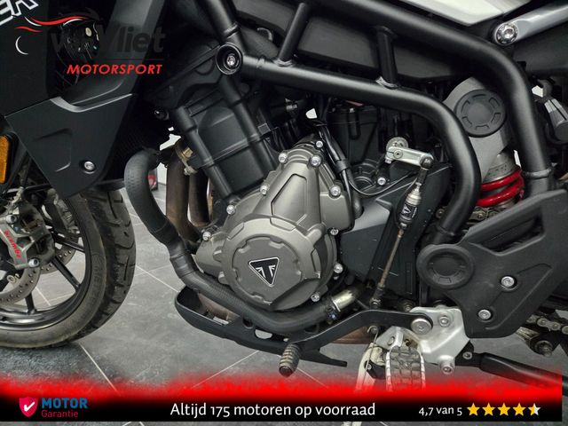triumph - tiger-900-gt-pro