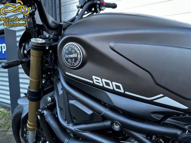 benelli - leoncino-800