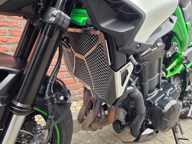 kawasaki - z900-performance