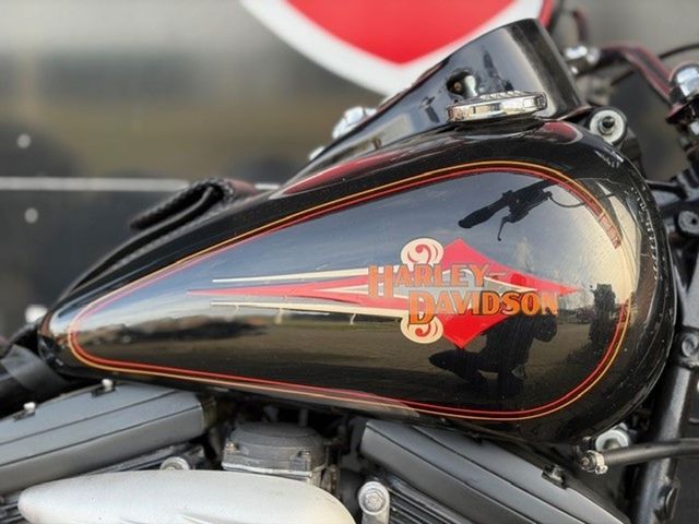 harley-davidson - softail-custom-fxst