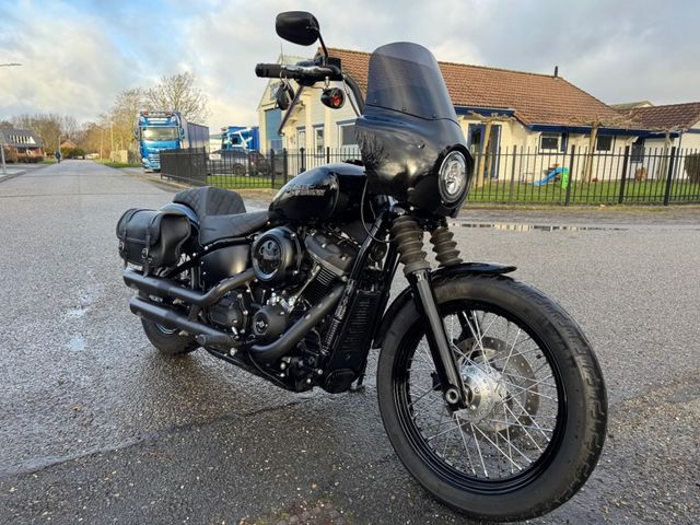 harley-davidson - softail-street-bob